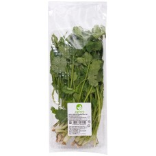 Кинза свежая, 100г в магазинах Лента