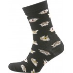 Носки женские INWIN р. 23, 25 черные с мордочками котят, Арт. BPF21/W01-blackcat