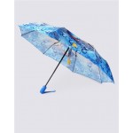 Зонт женский RAINDROPS суперавтомат, Арт. RDH733814