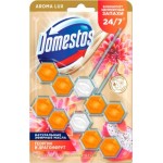 Туалетный блок Domestos Power 5 экзотический букет 2х50г