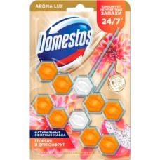 Туалетный блок Domestos Power 5 экзотический букет 2х50г в магазинах Магнит