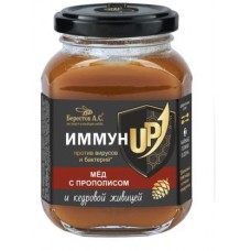 Мед ИммунUp Берестов АС Прополис Кедр Живица 200г в магазинах Магнит