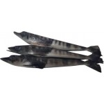 Рыба ледяная Фишерис неразделанная