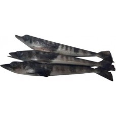 Рыба ледяная Фишерис неразделанная в магазинах Магнит