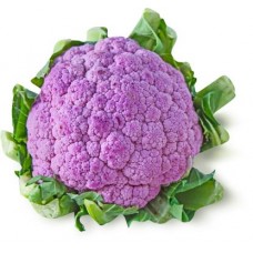 Капуста цветная фиолетовая в магазинах Магнит