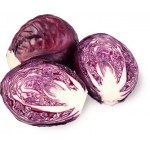 Капуста краснокочанная