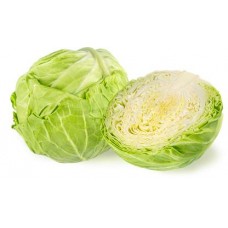Капуста молодая белокочанная импортная в магазинах Магнит