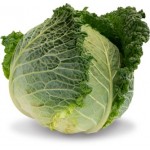 Капуста савойская