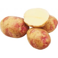 Картофель местный Юбка-Кофта в магазинах Магнит