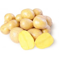 Картофель мытый экстра в магазинах Магнит