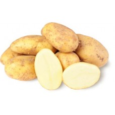 Картофель новый урожай в магазинах Магнит