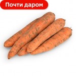 Морковь