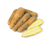 Морковь для плова узбекская