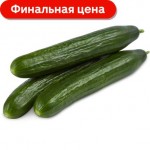 Огурцы гладкие 600г