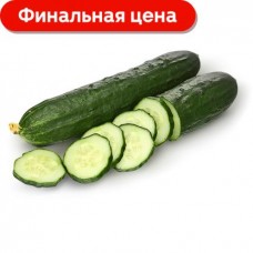 Огурцы среднеплодные пупырчатые 600г в магазинах Магнит