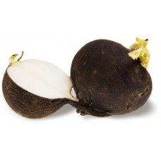 Редька черная в магазинах Магнит