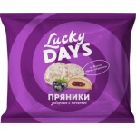 Пряники Lucky Days черная смородина 300г