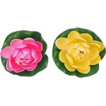 Лотос для водоемов 10см