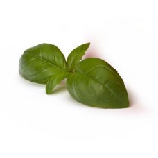 Базилик в магазинах Магнит