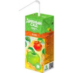 Нектар Дивный Сад Яблочный 200мл