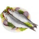 Сельдь Голофаев С.Н. атлантическая слабосоленая неразделанная 400+ Сельдь Голофаев С.Н. атлантическая слабосоленая неразделанная 400+