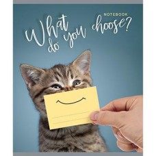 Тетрадь Улыбатор Спектр клетка А5 48л в магазинах Магнит