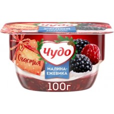 Творожок Чудо Малина-ежевика 4.2% 100г в магазинах Магнит