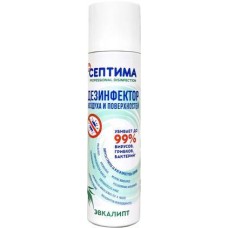 Средство дезинфицирующее эвкалипт 250мл в магазинах Магнит