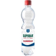 Вода Боровая питьевая лечебно-столовая минеральная газированная 500мл в магазинах Магнит