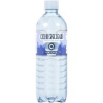 Вода Сенежская + Кислород минеральная газированная 500мл