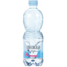 Вода Сенежская питьевая газированная 500мл в магазинах Магнит