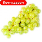 Виноград Кишмиш белый