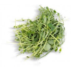 Микрозелень гороха 50г в магазинах Магнит