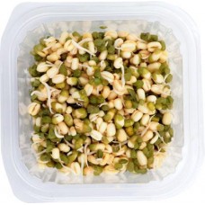 Проростки фасоли Маш 150г в магазинах Магнит