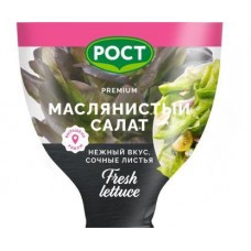 Салат Маслянистый красный в горшочке 180г в магазинах Магнит
