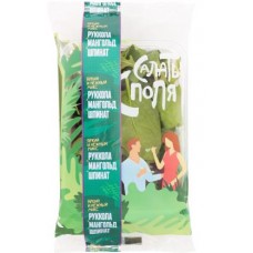 Салатный микс Руккола мангольд и шпинат 75г в магазинах Магнит