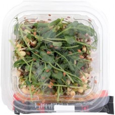 Салатный Ростковый микс Свежесть 100г в магазинах Магнит