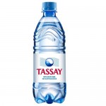 Вода Tassay питьевая негазированная, 0.5л Вода Tassay питьевая негазированная, 0.5л