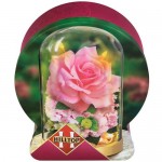 Чай Hilltop Подарок Цейлона Весенняя фантазия, 100г