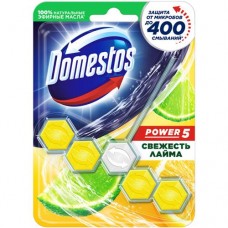 Блок для очищения Domestos Power 5 для унитаза свежесть лайма, 55г в магазинах Перекресток