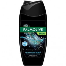 Гель Palmolive для душа Men Расслабление Мышц охлаждающий 4 в 1, 250мл в магазинах Перекресток