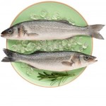 Сибас 400-600 Турция