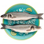 Сибас тушка из замороженного сырья 300-400