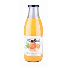 Сок Живой клементиновый с мякотью прямого отжима, 250мл в магазинах Перекресток