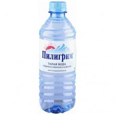 Вода Пилигрим питьевая негазированная, 250мл в магазинах Перекресток