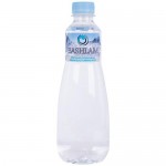 Вода Башлам Артезианская ледниковая талая природная питьевая 1 категории негазированная, 500мл