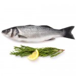 Сибас Премиум охлаждённый