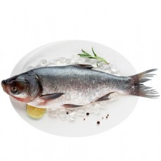 Толстолобик непотрошеный в магазинах Перекресток