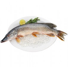 Щука потрошеная в магазинах Перекресток