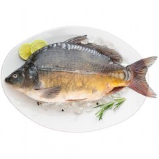 Карп непотрошеный в магазинах Перекресток